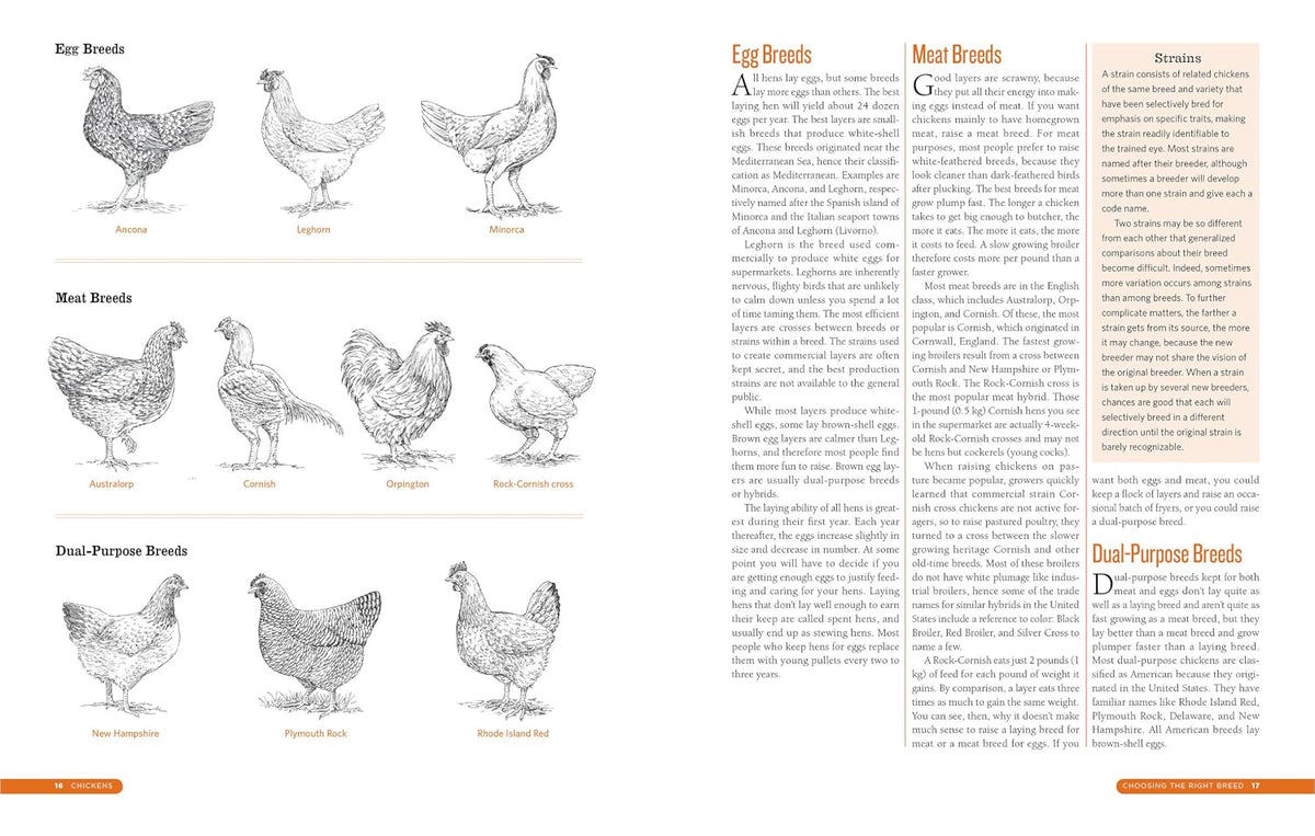 The Reset Backyard Livestock Guide VIP