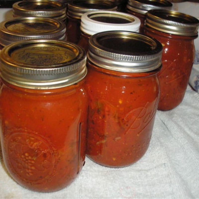 THE RESET HOME PRESERVING HANDBOOK VIP