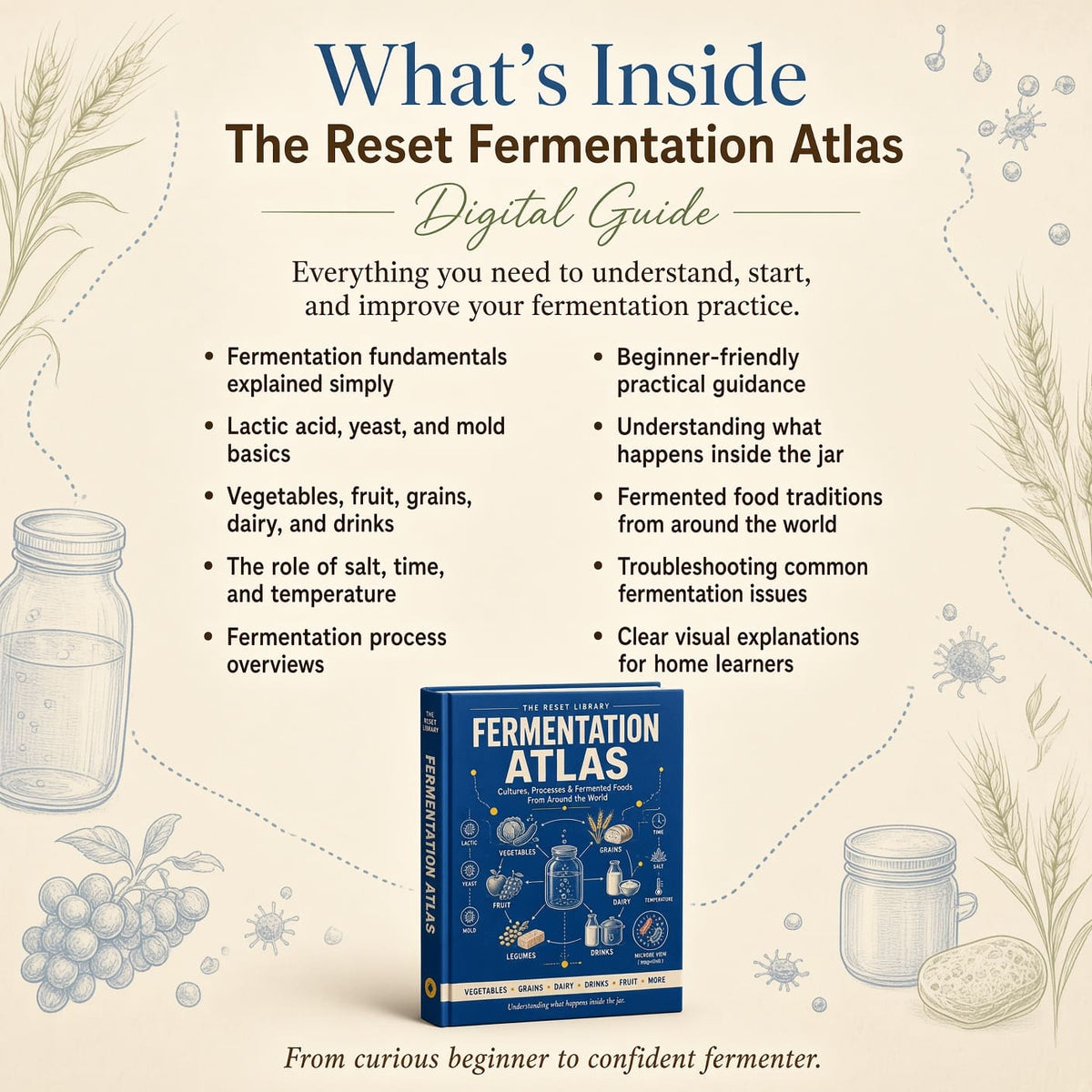 The Reset Fermentation Atlas VIP