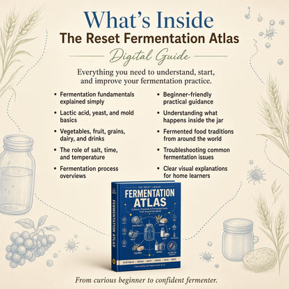 The Reset Fermentation Atlas VIP